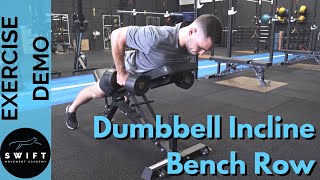 How To Do a Dumbbell Incline Bench Row [upl. by Neehs]