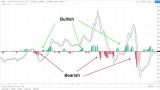 Beginners Guide to the MACD Indicator by Siren Crypto [upl. by Olnton]