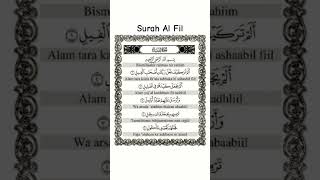 surah alfil shorts fyp shorts islam muslim salimbahanan fyp [upl. by Adelaida]