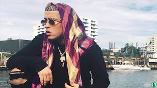 Bad Bunny ✘ Lito Kirino  Vamos Hacerlo Otra Vez [upl. by Edlitam718]