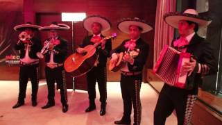 Mexican The Mariachi Band  Showcase [upl. by Radbourne]