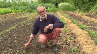 Pierre Besse  le maraîchage sous mulch [upl. by Jemine]