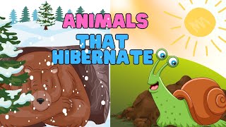 Did You Know  Animals that Hibernate for Kids  Hibernate Learning Video for Kids [upl. by Russi244]