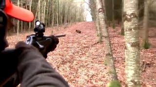 Best of wild boar hunting  Top kill shots compilation  Ultimate Hunting [upl. by Deevan345]