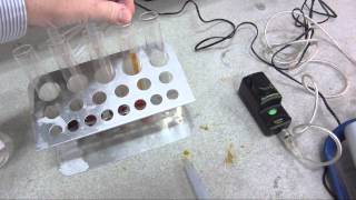 Iodination of propanone Part 1  Obtaining a calibration curve for aqueous iodine [upl. by Asilak858]