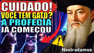 CHOCANTE O Que Nostradamus Previu Para quem Tem GATO EM CASA I Revela Profecias [upl. by Eniortna]