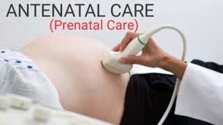 Prenatal Care  Antenatal Care  Health Assessment Of Pregnancy  Pregnant [upl. by Ekenna]