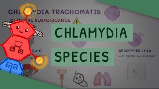 All You Need to Know About Chlamydia Species [upl. by Abbotsen]