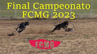 Final del provincial Federación Castilla la Mancha 23 Diciembre 2023 [upl. by Sande89]