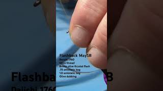 Flashback MaySB Mayfly Nymph Fly Pattern [upl. by Ellevehs]