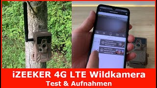 iZEEKER iG300 4G LTE Wildkamera mit SIMKarte im Test  Einrichtung Praxistest und Aufnahmen [upl. by Rezzani]