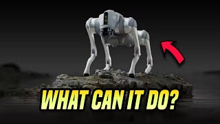 Exploring Robotic Capabilities Unleashing the Power of Robot Dogs with Unitrees Insights [upl. by Rihsab]