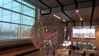 Liberty Science Center ball  Hoberman sphere [upl. by Ailahs848]