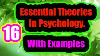 16 Essential Theories In Psychology With Examples [upl. by Leahcimnhoj]