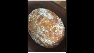 Baking No Knead  Artisan Bread [upl. by Macdonell703]