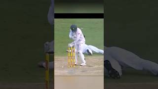 How Honey Bee Saves A Batsman [upl. by Conny]