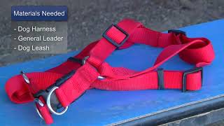 How to Put on Dog Harnesses [upl. by Ajay705]