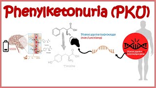 Phenyl Ketonuria  genetic defects in aminoacid metabolism [upl. by Venita]