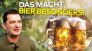 DER SCHLÜSSEL ZUM BESTEN BIER Tausendjährige Tradition Geheimnisse der Hopfenernte  FOOD MAGAZIN [upl. by Zischke]