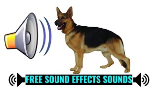 Dog Barking Loud Sound Effect  Loud Dog Bark Sound Effect [upl. by Kingdon148]