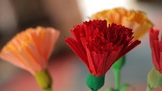 How to Make Crepe Paper Flowers [upl. by Stelle]