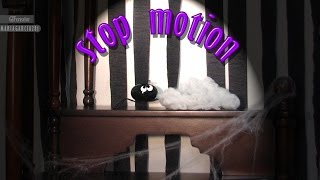 Stop Motion Animation [upl. by Ettevahs]