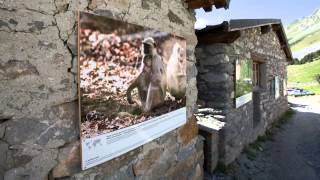 Expo Photos Arnaud Guérin Les Prioux Pralognan La Vanoise [upl. by Eldnek]