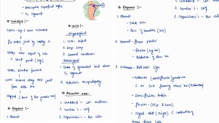 PLANTER REFLEX BABINSKIS SIGN NOTES  ONE PAGE NOTES  CNS  MEDICINE  4TH PROFF  MBBS [upl. by Ayet567]