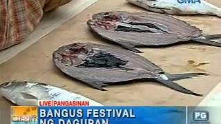 Unang Hirit goes to the 11th Bangus Festival  Unang Hirit [upl. by Auqenes]