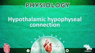 Revision of L 2 Hypothalamic hypophyseal connection  physiology [upl. by Nolram]