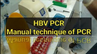 HBV PCR test PCR test Manually [upl. by Imorej]