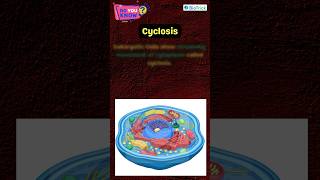 Cyclosis  Eukaryotic Cells  Cell Unit of Life  Class 11 Biology  Biology Boons neetbiology [upl. by Bascomb61]