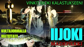 IIJOKI MADEPILKKI  Kalavinkit Hautuumaan Apajalle ja KultaJormalla Mateita  Ice Fishing Finland [upl. by Aehc]