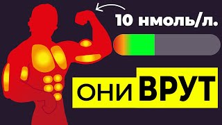 Мифы о Тестостероне и Росте Мышц  5 Стадий Тренера [upl. by Teresa]