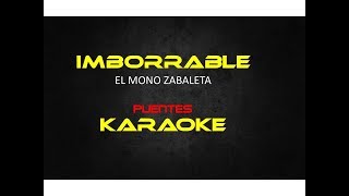 Imborrable karaoke El Mono zabaleta [upl. by Yleoj654]