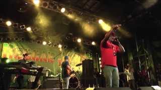 Barrington Levy  LiveReggaejam 2013  too experienced [upl. by Alper619]