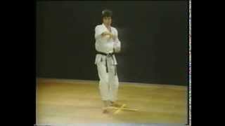 5 Heian Godan Kata Faixa Verde Shotokan Karate [upl. by Ecirtnuahs]