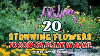 TOP 20 STUNNING FLOWERS you NEED to SOW or PLANT in APRIL 🌸🌿🌻  Gardening Ideas [upl. by Euqinomod220]