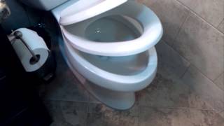 Crazy toilet tile shower and wainscoting glass feature strip [upl. by Faludi]