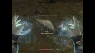 Rare Monster Fights on Skyrim  Episode 1  Chaurus Hunter Fledgling [upl. by Anelhtac]