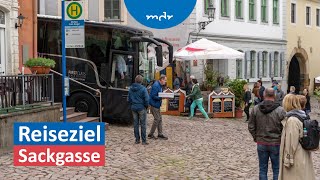 Nächster Halt – Sackgasse Reisebus in Meißen steckt fest  MDR um Zwei  MDR [upl. by Anahsor360]