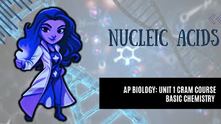 AP Biology College Prep CRASH CRAM COURSE Unit 1 Chemistry of Life Nucleic Acids 16 [upl. by Michael]