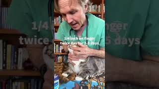 Hairball Remedy for Cats [upl. by Carin]