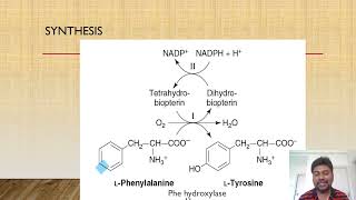 Tyrosine metabolism  1st MBBS lecture [upl. by Ahsiekam]