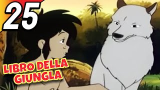 LIBRO DELLA GIUNGLA  Episodio 25  Italiano  The Jungle Book [upl. by Auehsoj696]