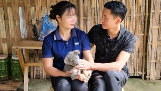 Gardening preserving vegetables Making tomato trellises  Triêu Thị Sểnh [upl. by Anyahc]