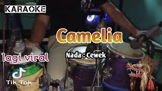 Camelia  karaoke versi koplo  jaranan Nada Cewek Versi koplo  jaranan [upl. by Dearman386]