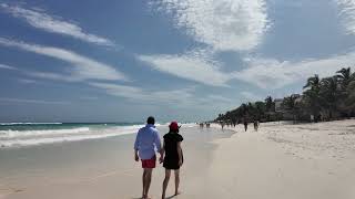 The Latest Sargassum Situation in Tulum March 27 2024 [upl. by Donna873]