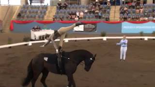 CVI 3 Australian Vaulting Championships September 2017 [upl. by Ridan]