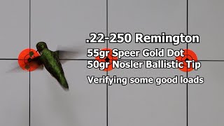 22250 Rem  Verifying my best loads with the 55gr Gold Dot and 50gr Ballistic Tip [upl. by Onder]